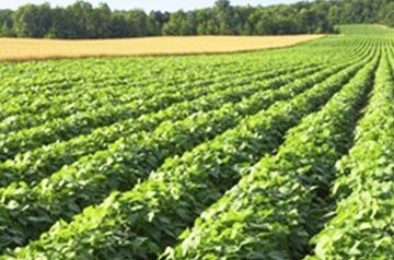 طلبك غير متوفر