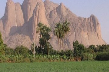 طلبك غير متوفر